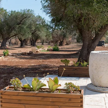 Trullo Lupocaruso *